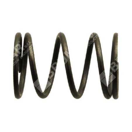 Valve spring for DUCAR motor pumps and motor generators - 038091 | NewgardenParts.com