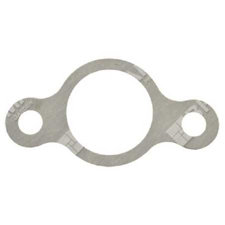 Junta de brida térmica para motobombas DUCAR 96064 - 047355 | NewgardenParts.com