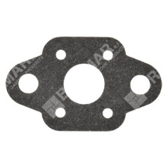 Carburettor gasket for GREEN LINE hedge trimmers - 038356 | NewgardenParts.com