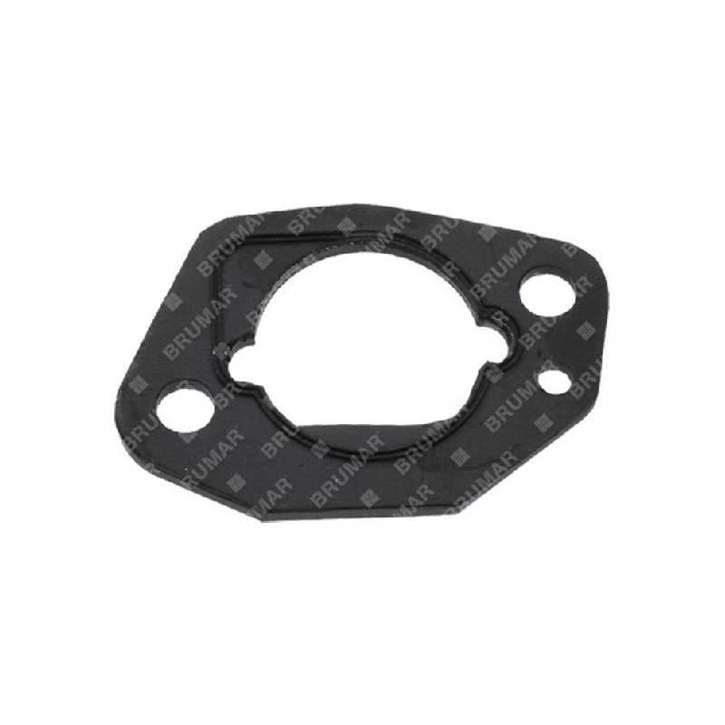 Oil seal for DAYE lawnmower - DAYEE - 027782