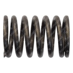 Valve spring for DUCAR motor generators - 038222 | NewgardenParts.com