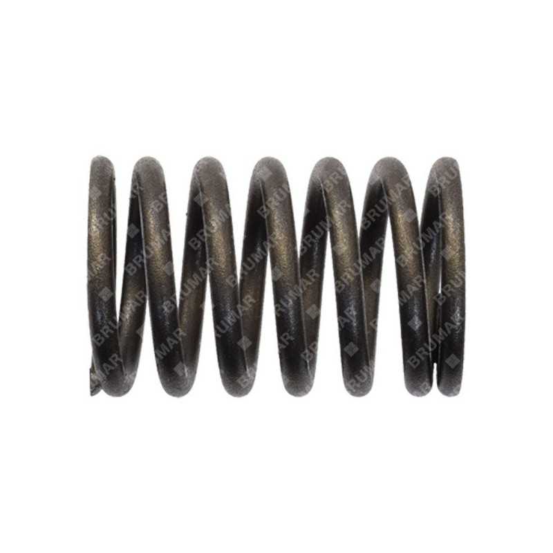 Valve spring for DUCAR motor generators - 038222