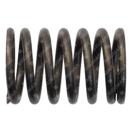 Valve spring for DUCAR motor generators - 038222 | NewgardenParts.com