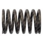 Valve spring for DUCAR motor generators - 038222
