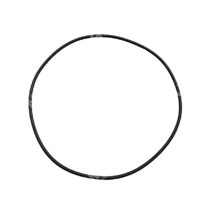 Pump body gasket ring for MAORI motor pumps - 027486