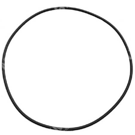 Pump body gasket ring for MAORI motor pumps - 027486 | NewgardenParts.com