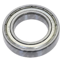 Bearing 61905 for MPT300C - 057646 | NewgardenParts.com