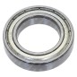 Rodamiento 61905 para MPT300C - 057646