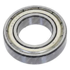 Roulement 61904 pour MPT300C - 057643 | NewgardenParts.com