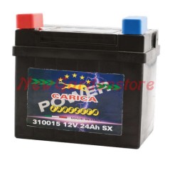 Batteria 12V/24Ah polo positivo sinistra carica trattorino tagliaerba 310015 | NewgardenParts.com