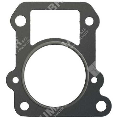 Zylinderdichtung für Rasenmäher und DAYE-Motoren - DAYEE - 027610 | NewgardenParts.com