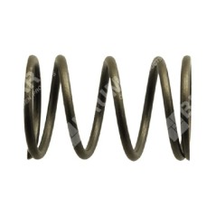 Molla valvole per motori SUBARU Compatibile - 028327