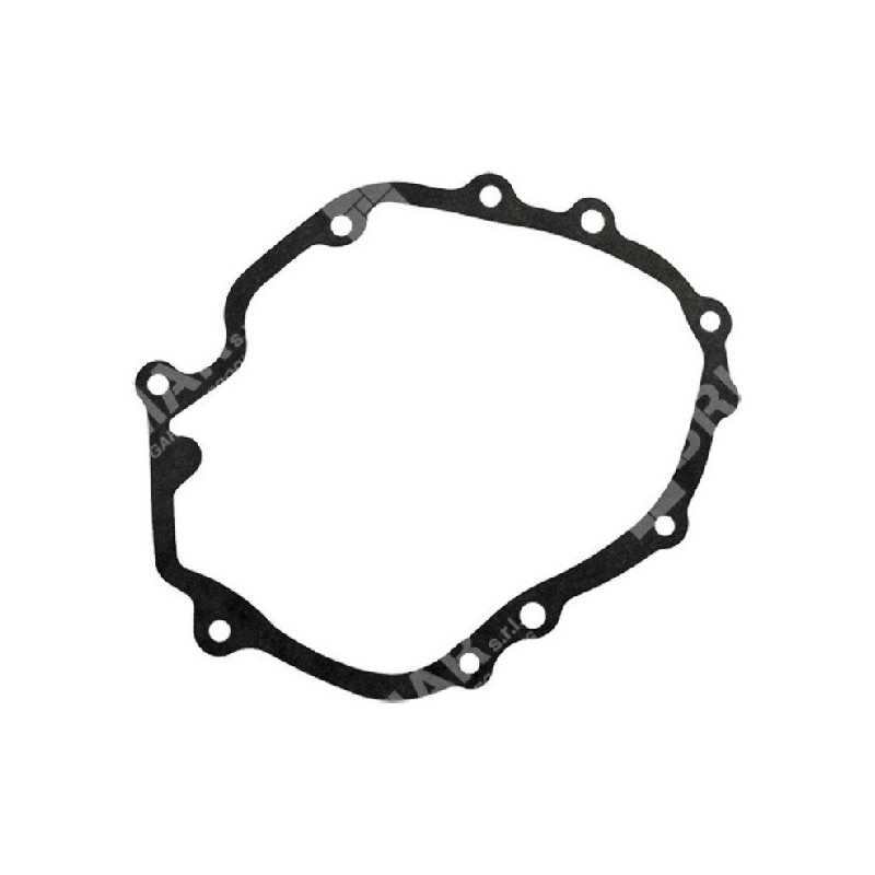 Engine crankcase gasket for MAORI lawnmower - 023538