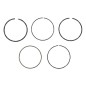 BLX Segment Kit - 057316