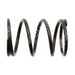 Valve valve spring SABO - 055259 | NewgardenParts.com