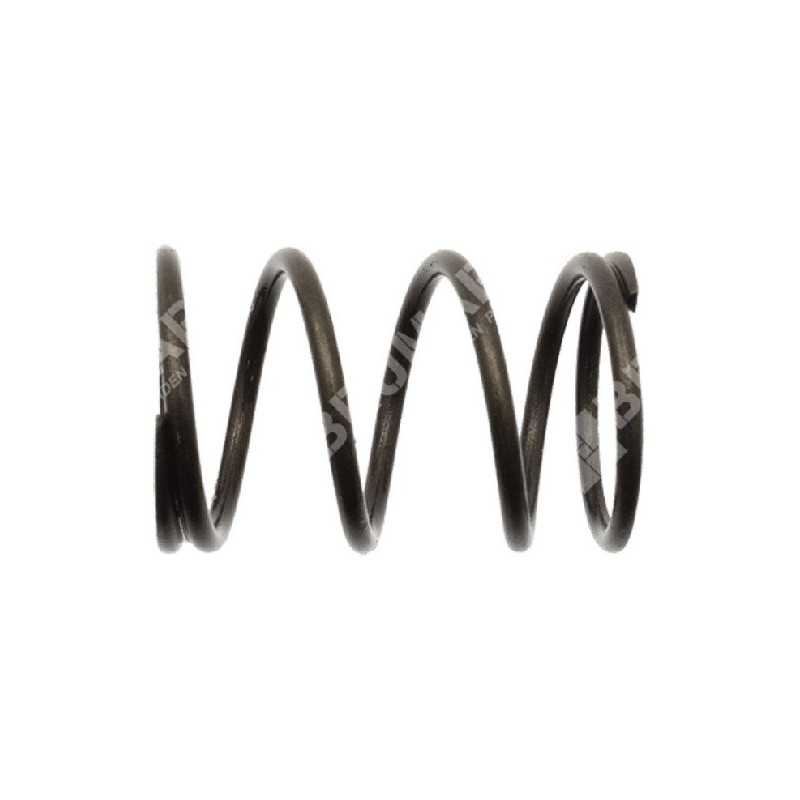 Valve valve spring SABO - 055259