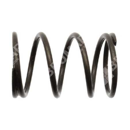 Molla valvola valvola SABO Compatibile - 055259 | NewgardenParts.com