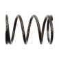 Valve valve spring SABO - 055259