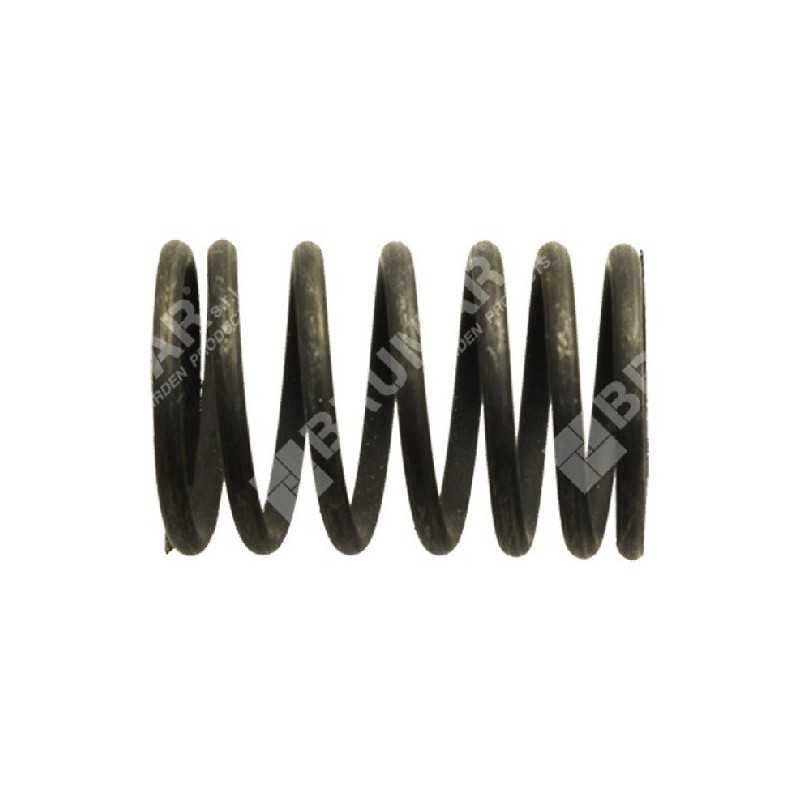 Molla valvole per motori TAYA - SANDRIGARDEN Compatibile - 013420