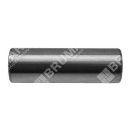 Piston pin diameter 14 mm for DUCAR motor pumps - 049578 | NewgardenParts.com