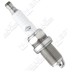 Candela BS-OHV-HT BRIGGS & STRATTON 992306 Compatibile - 020315 | NewgardenParts.com