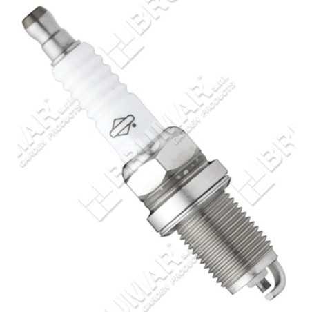 Bujía BS-OHV-HT BRIGGS & STRATTON 992306 - 020315 | NewgardenParts.com