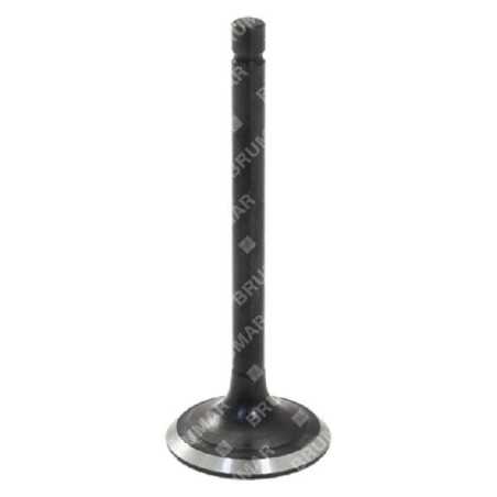 Drain valve for DUCAR motor generators - 056621 | NewgardenParts.com