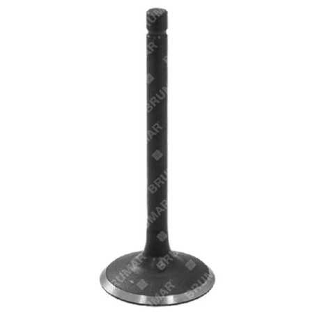 Intake valve for DUCAR motor generators - 056619 | NewgardenParts.com