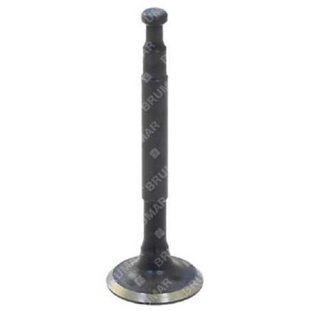 Drain valve for DUCAR motor pumps - 038569 | NewgardenParts.com