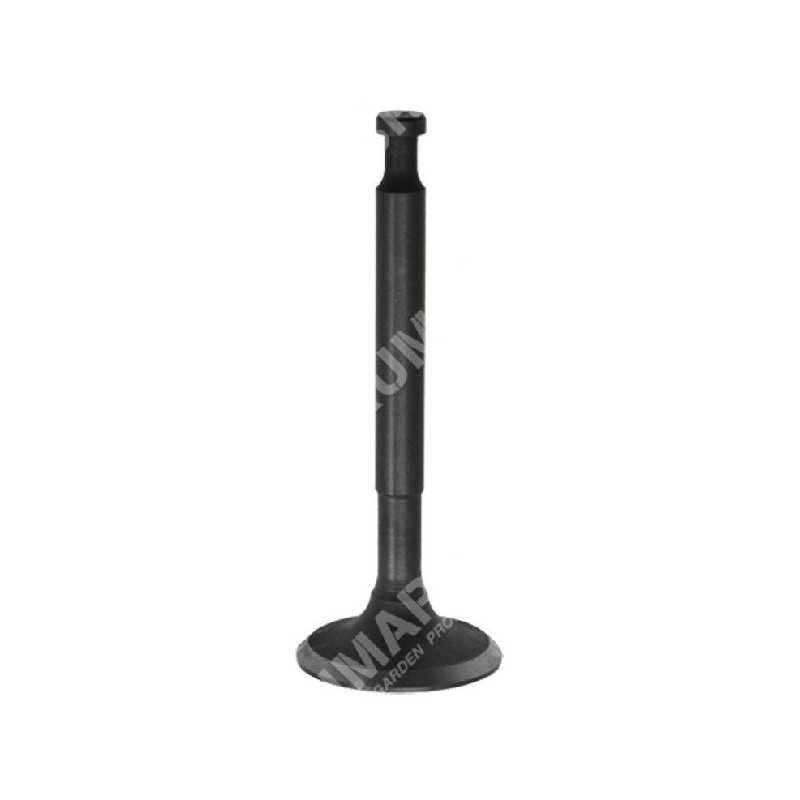 Intake valve for DUCAR motor pumps - 038568