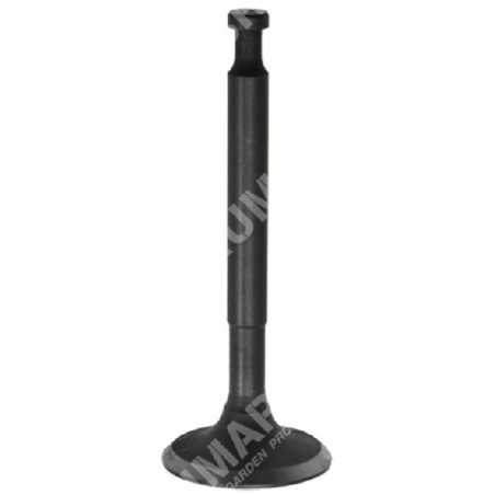 Intake valve for DUCAR motor pumps - 038568 | NewgardenParts.com