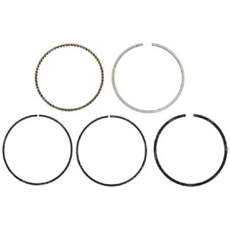 DUCAR Segment Kit - 055540 | NewgardenParts.com