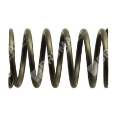 Valve spring for KAWASAKI engines - 017477 | NewgardenParts.com