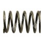 Valve spring for KAWASAKI engines - 017477