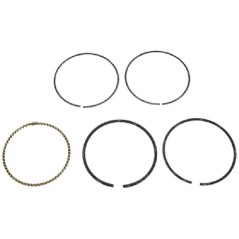 Kit de segmentos BLX diámetro 64 mm - 054567 | NewgardenParts.com
