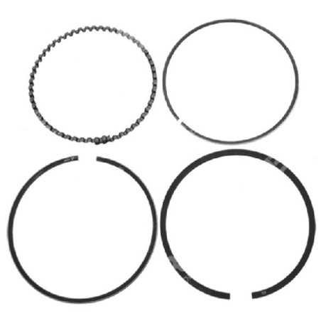 Kit segments carrés DAYE - DAYEE diamètre 56 mm - 023379 | NewgardenParts.com