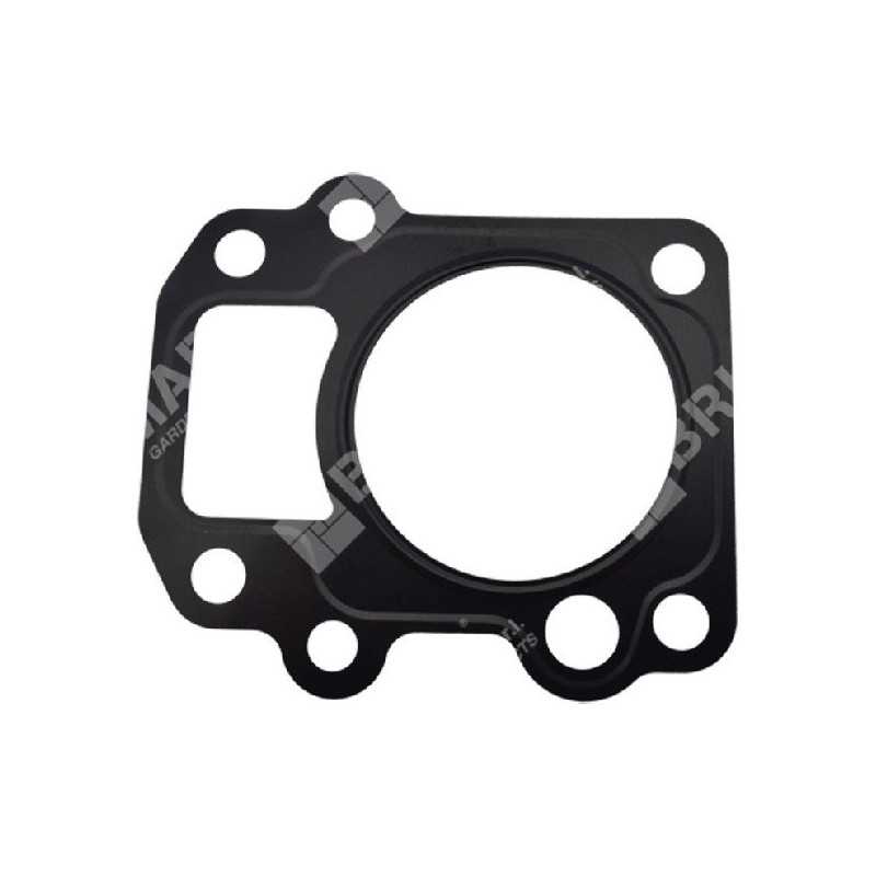 Joint de culasse pour motopompes DUCAR 96024 - 049589