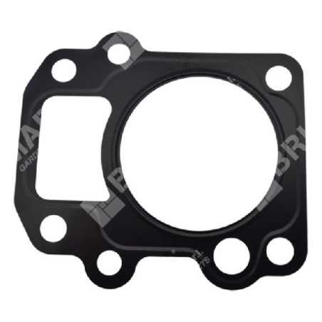 Joint de culasse pour motopompes DUCAR 96024 - 049589 | NewgardenParts.com