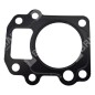 Head gasket for DUCAR motor pumps 96024 - 049589