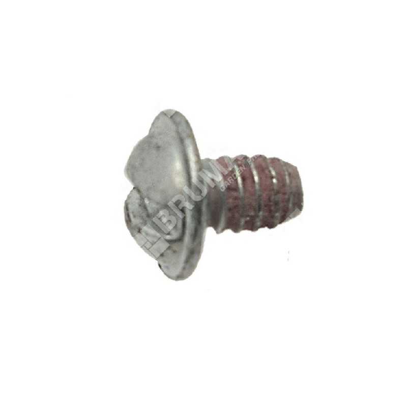 Vis papillon de carburateur BRIGGS & STRATTON 691636 - 048051