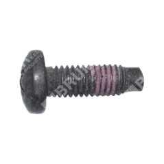 Tornillo BRIGGS & STRATTON 790029 - 047269 | NewgardenParts.com