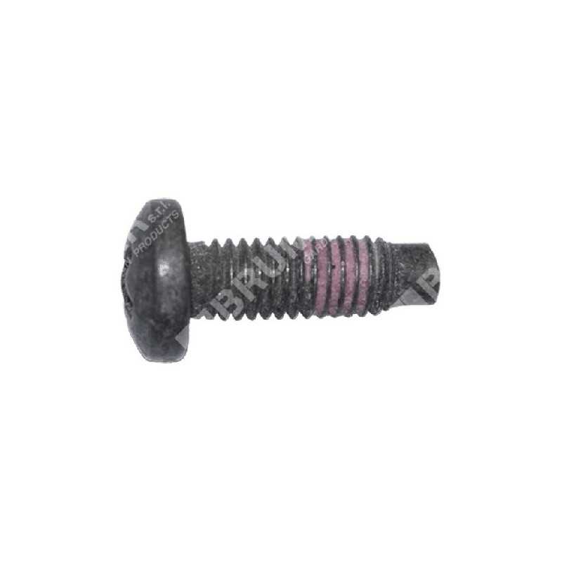 Tornillo BRIGGS & STRATTON 790029 - 047269