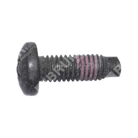 BRIGGS & STRATTON Schraube 790029 - 047269 | NewgardenParts.com