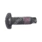 Tornillo BRIGGS & STRATTON 790029 - 047269
