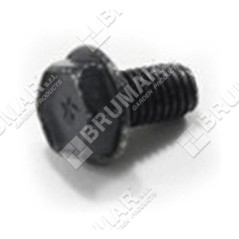 BRIGGS & STRATTON screw 699851 - 026218
