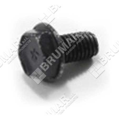 Vite BRIGGS & STRATTON 699851 Compatibile - 026218 | NewgardenParts.com