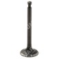 Exhaust valve kit for DUCAR engines - 047134