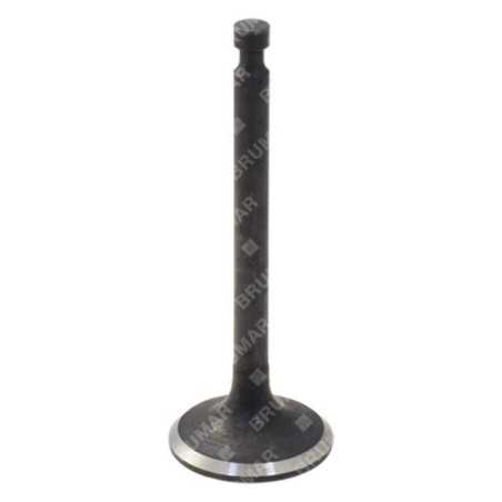 Intake valve for DUCAR motor generators - 038219 | NewgardenParts.com