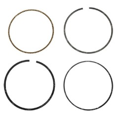Kit de segmentos DUCAR - 056618 | NewgardenParts.com