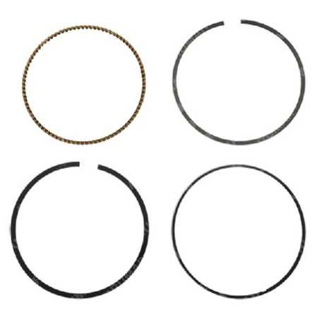 DUCAR Segment Kit - 056618 | NewgardenParts.com